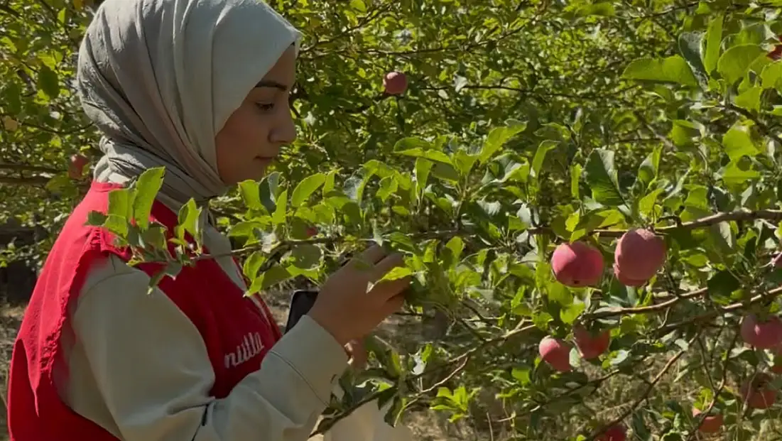 5 bin ağaçlık bahçede bu kez iyilik hasadı yapıldı