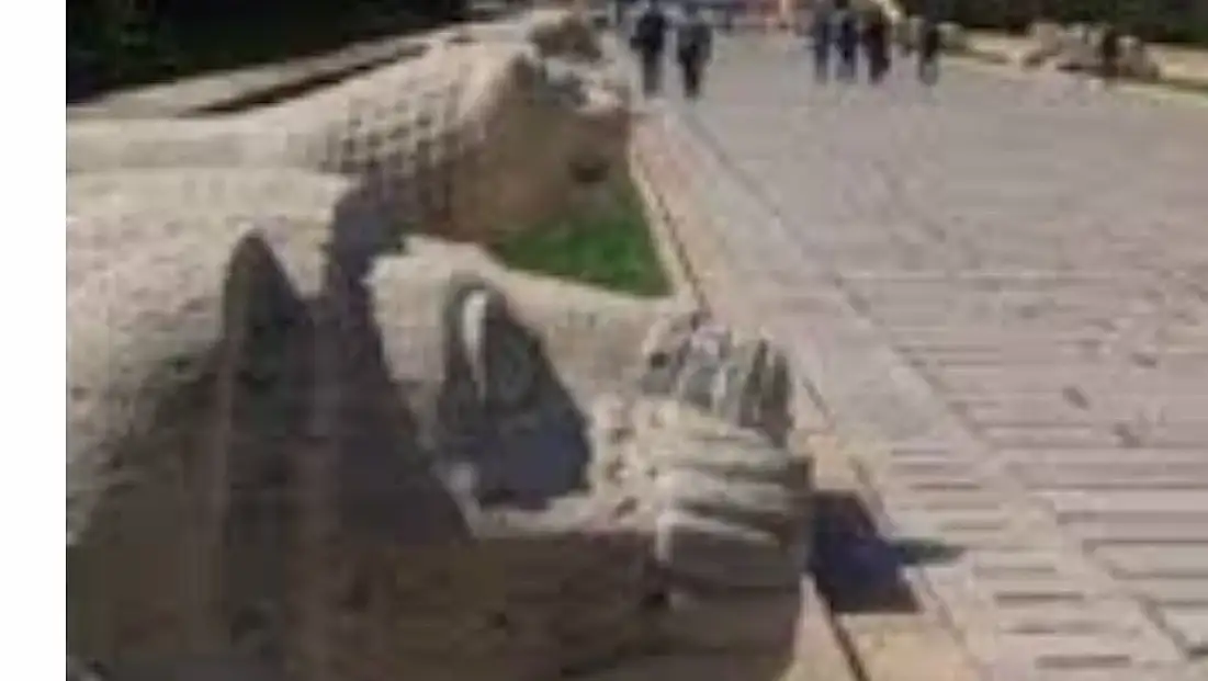 Aslanlı Yolda Neden 24 Aslan Var, Anlamı Nedir?