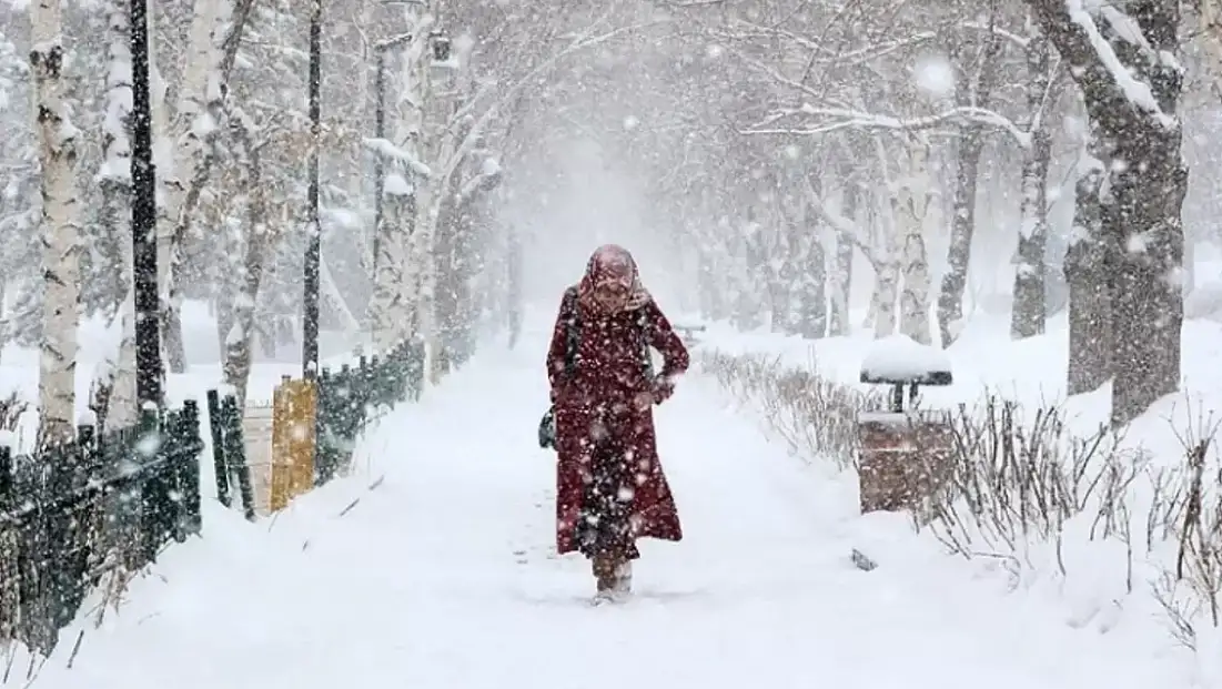 (BİTLİS VALİLİĞİ - KAR TATİLİ) Bitlis okullar tatil mi, 3 Şubat Salı Bitlis'te okul yok mu?