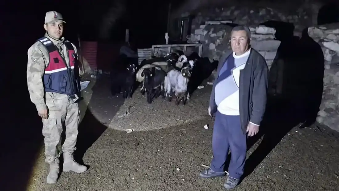 Diyadin’de kaybolan 10 küçükbaş hayvanı jandarma drone ile buldu