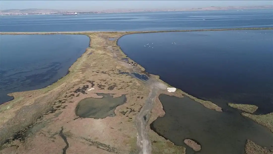 Doğa alarm veriyor: Sulak alan kaybı ekonomiyi tehdit ediyor