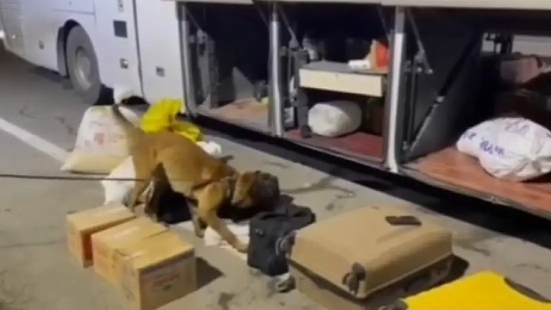 Erzurum’da 4 Kilo Uyuşturucu Ele Geçirildi, 1 Kişi Tutuklandı