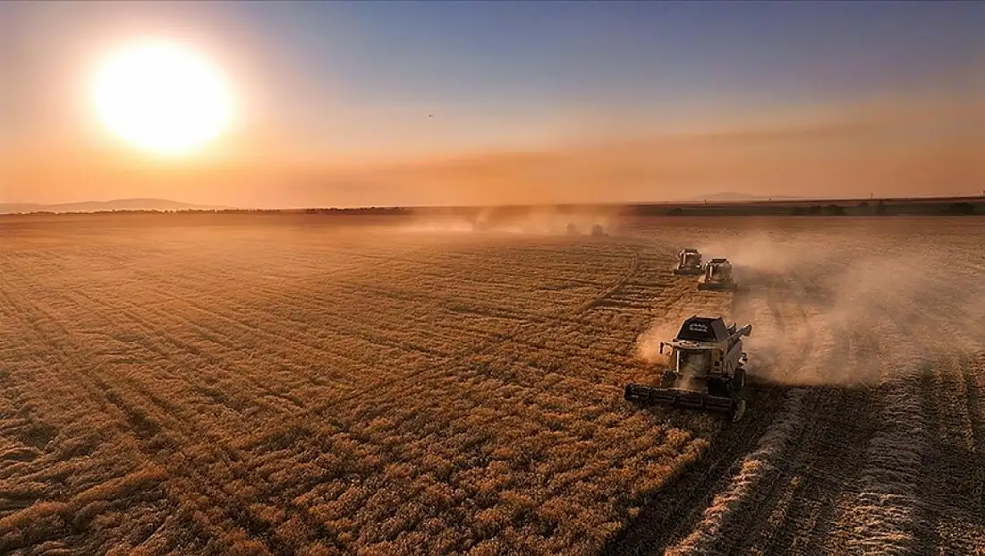 IPARD-III Kasım destek ödemeleri üreticiye can suyu oldu