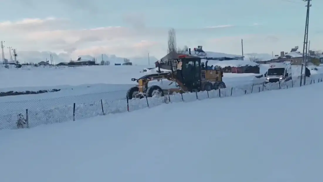 Kar kaplanları Kars’ta hayat kurtarmak için seferde