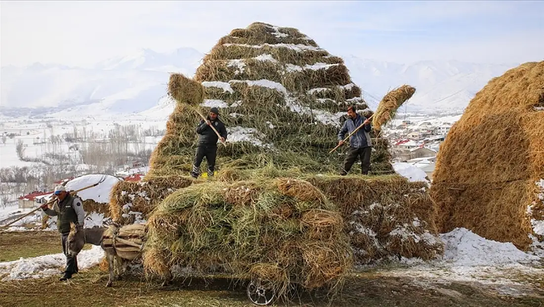 Karın ve soğuğun gölgesinde hayat: Van kırsalında kışla mücadele