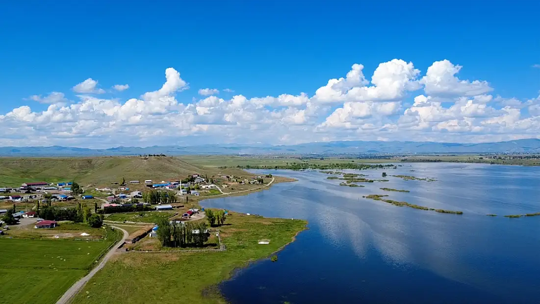 Kars'ta Arpaçay Barajı taştı, tarım arazileri sular altında kaldı