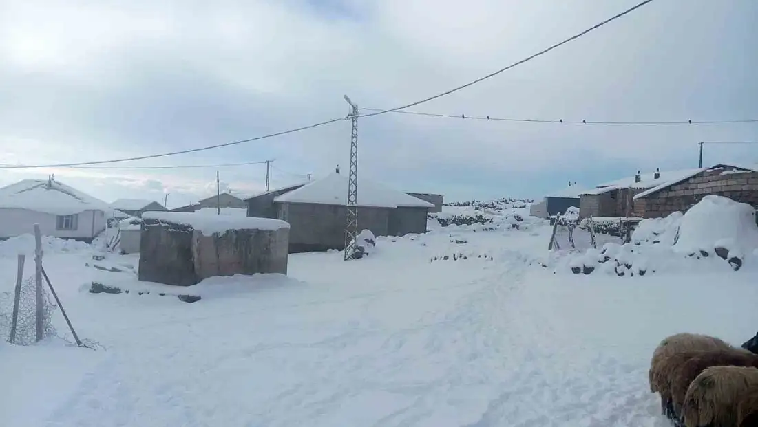 Kışkılı köyünde yoğun kar, besicilerin geçimini tehlikeye atıyor