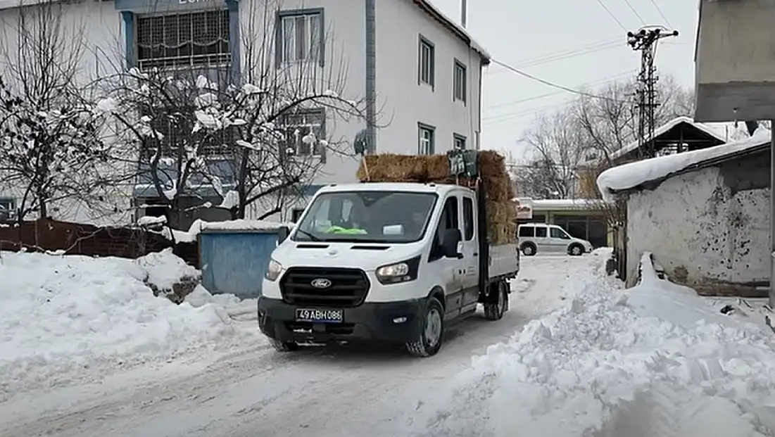 Muş Belediyesi’nden Sahipsiz Hayvanlar İçin Anlamlı Destek