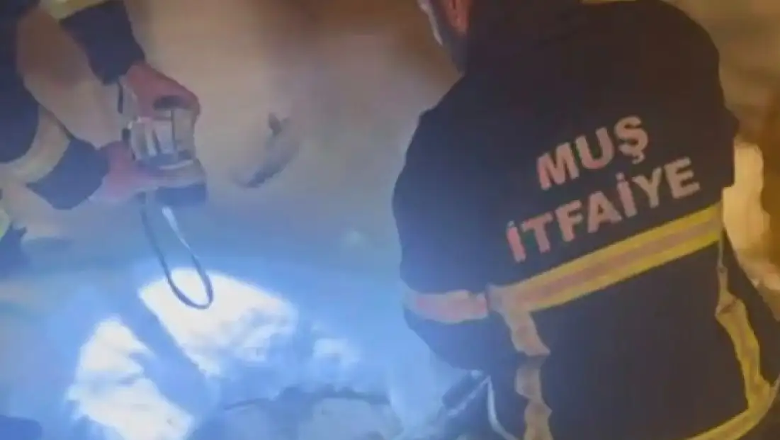 Muş'ta Kuyuya Düşen Yavru Köpek İtfaiye Ekiplerince Kurtarıldı