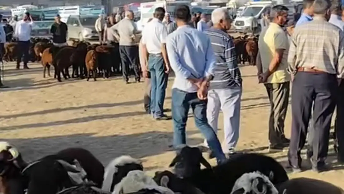 Patnos Hayvan Pazarı 15 gün süreyle kapatıldı