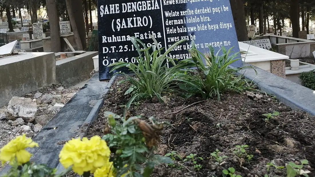 Şakiro’nun mezarı Ağrı’ya taşınmak isteniyor