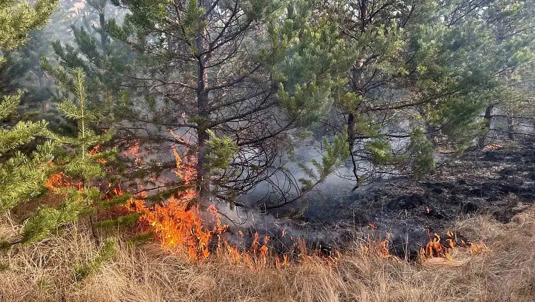 Sarıkamış Ormanlarında Çıkan Yangına Ekipler Anında Müdahale Etti