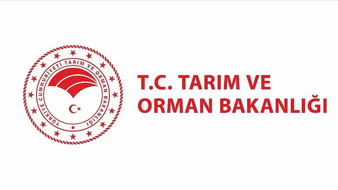 Sayıştay Başkanlığı'na yeni bilişim personeli alımı