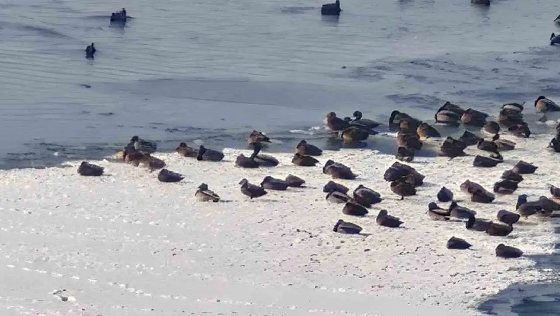 Sibirya soğuğu baraj göletini dondurdu