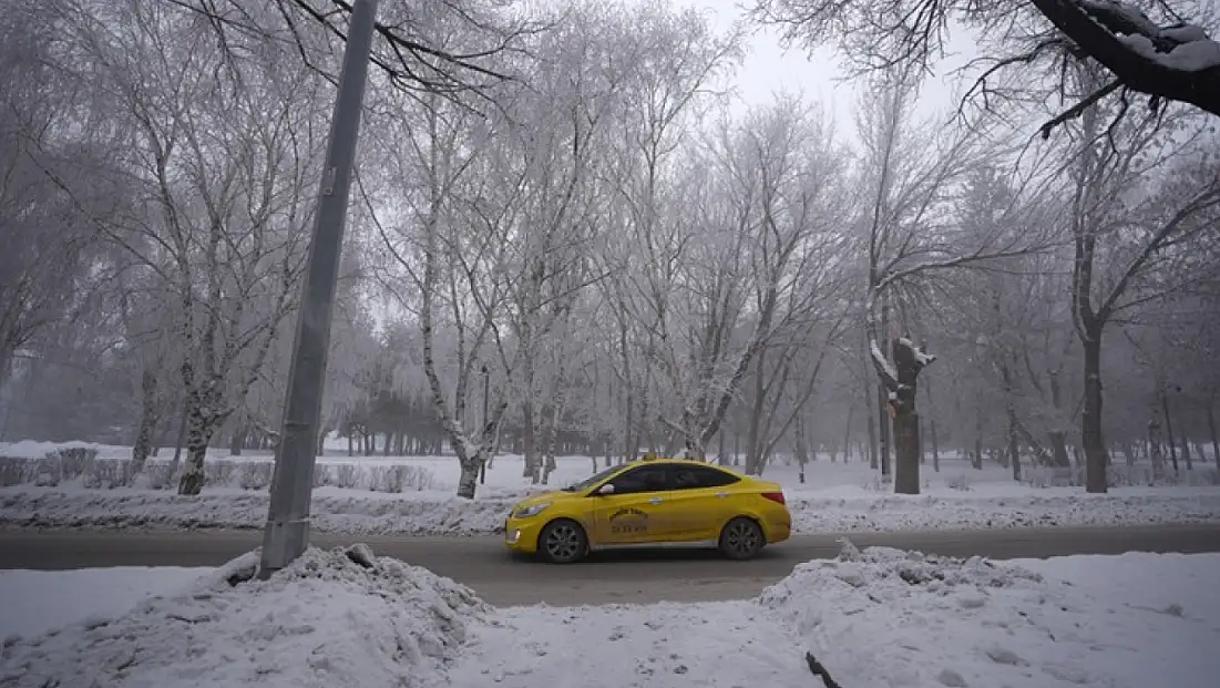 Sis ve soğuk doğu illerini etkisi altına aldı