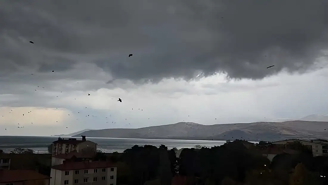 Tatvan'da Kargalar Gökyüzünü Kara Bir Halde Kapladı!