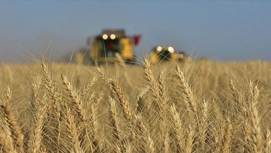 Türkiye, AARIENEA’da ilk kez başkanlık görevine seçildi