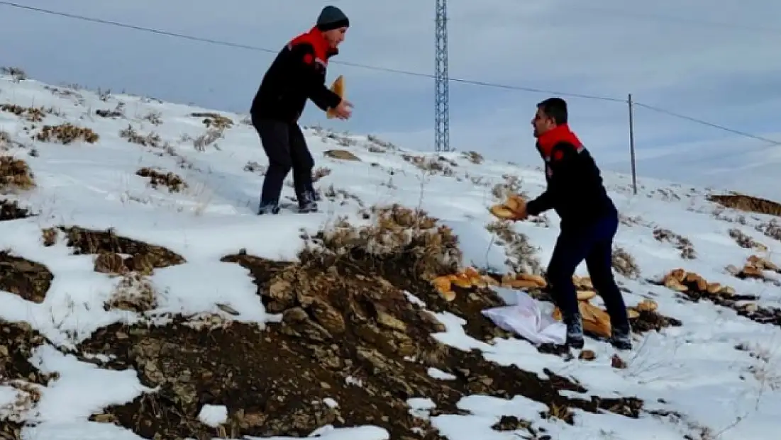 Van Çat’ta Yaban Hayatı İçin Doğaya Yem Bırakıldı