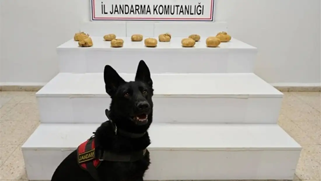 Van’da jandarmadan uyuşturucu operasyonu: Yaklaşık 12 kilo esrar ele geçirildi