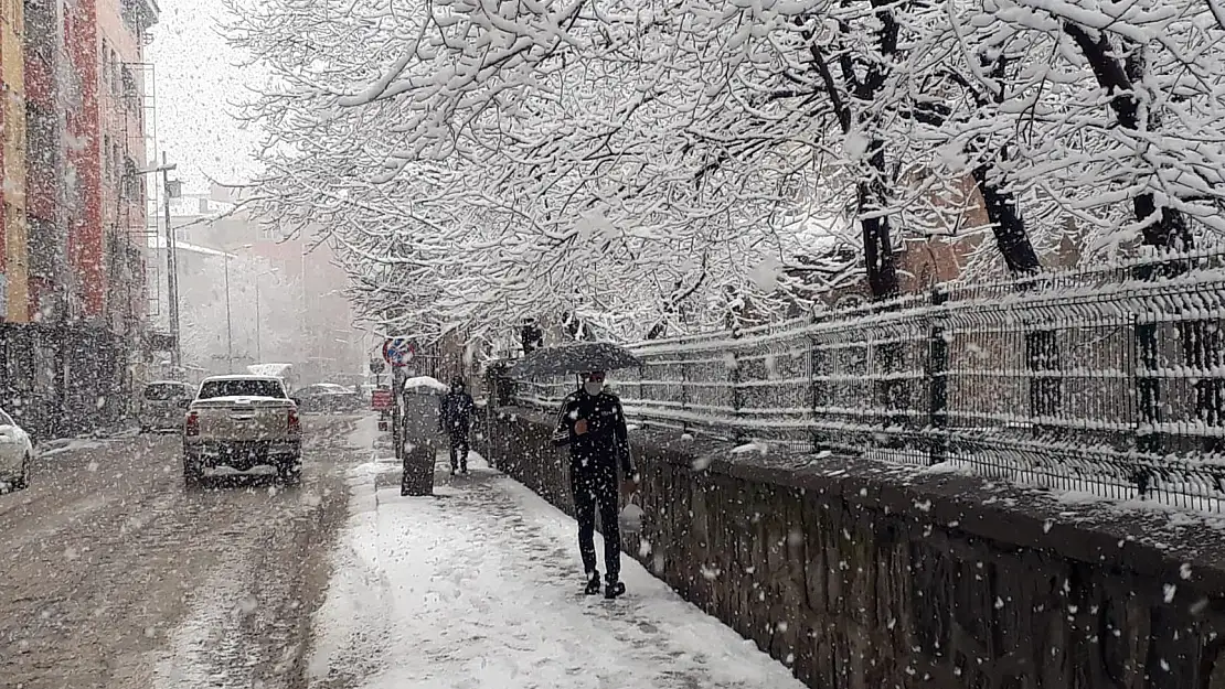 Ağrı'da kar kenti etkisi altına aldı