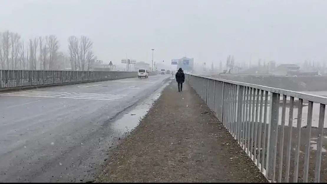 Ağrı'da kar fırtınası etkili oldu