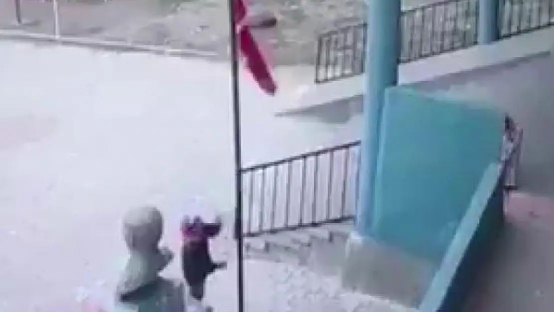Ağrı'da koyun otlatan çocuğun bayrak hassasiyeti takdir topladı
