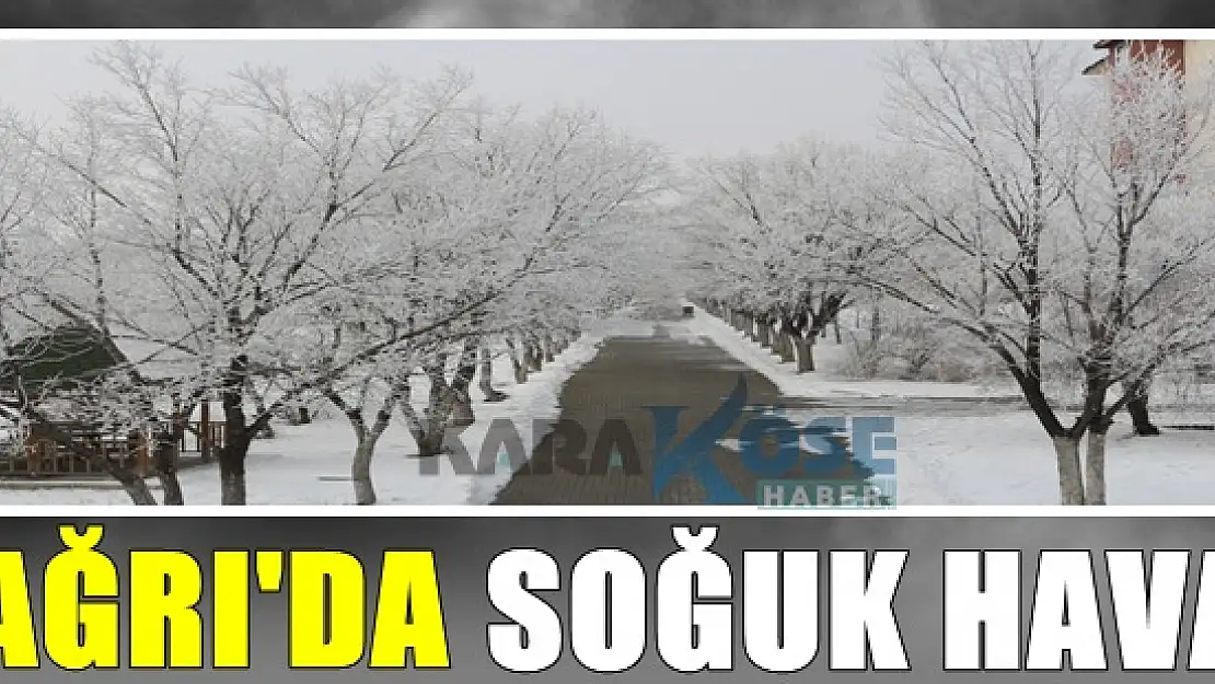 Ağrı'da Kırağı Manzaraları Büyülüyor