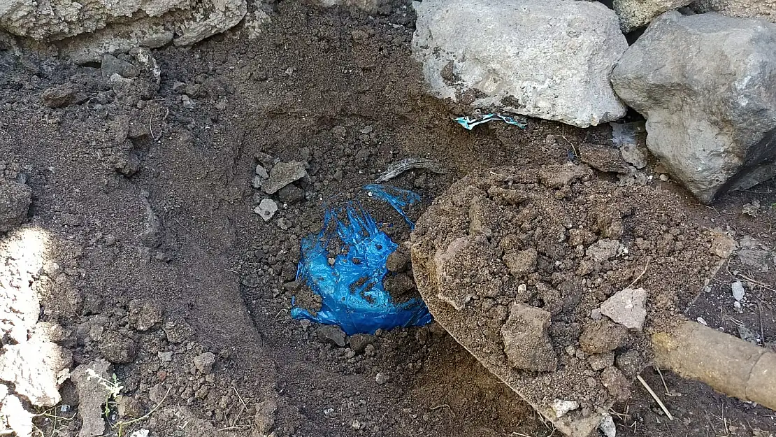 Ağrı'da toprak altına gömülen peynirler gün yüzüne çıkarıldı