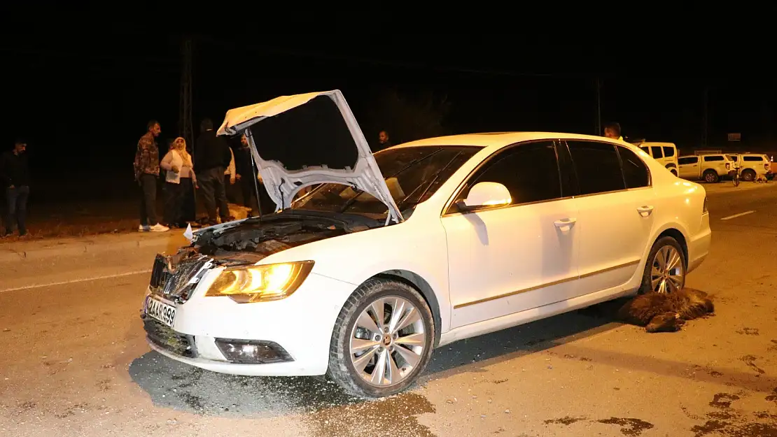 Ağrı'da otomobil sürüye çarptı, 6 keçi telef oldu