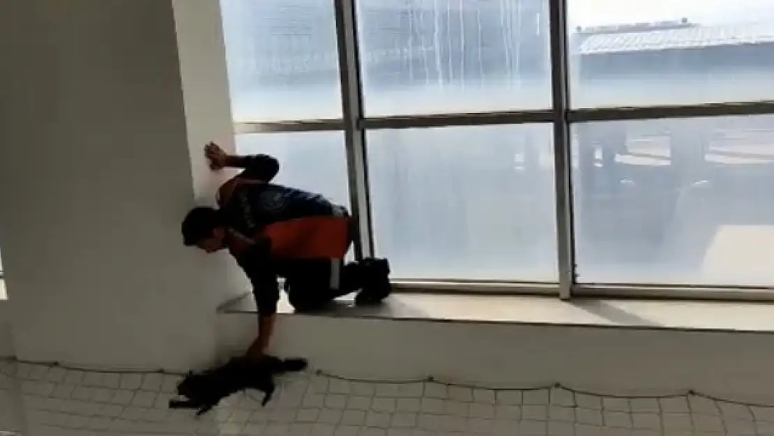 Ağrı Eğitim ve Araştırma Hastanesinde kedi kurtarma operasyonu
