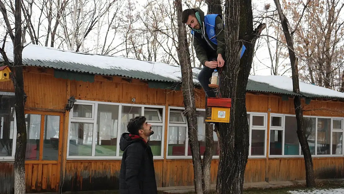 Gençlerden kuşlara sıcak yuva