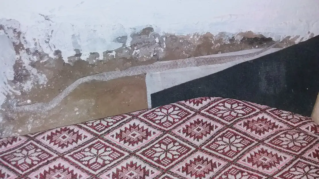 Ağrı'da yılanlar bir mezrayı mesken tuttu