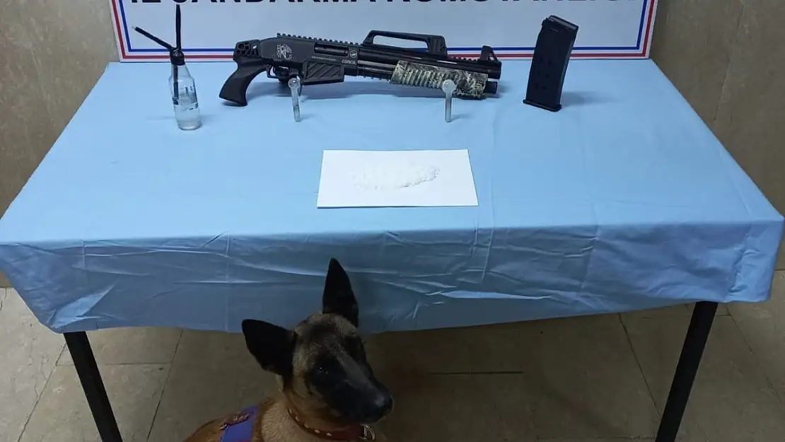 Ağrı'da 15 kilo esrar ele geçirildi
