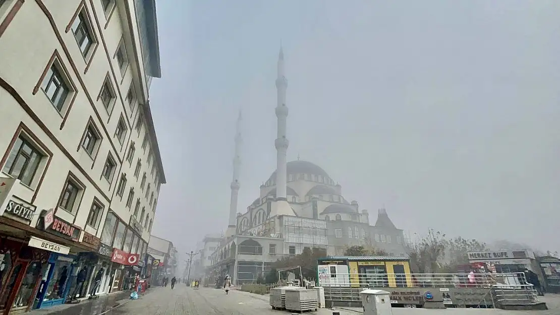 Ağrı'da yoğun sis etkili oldu