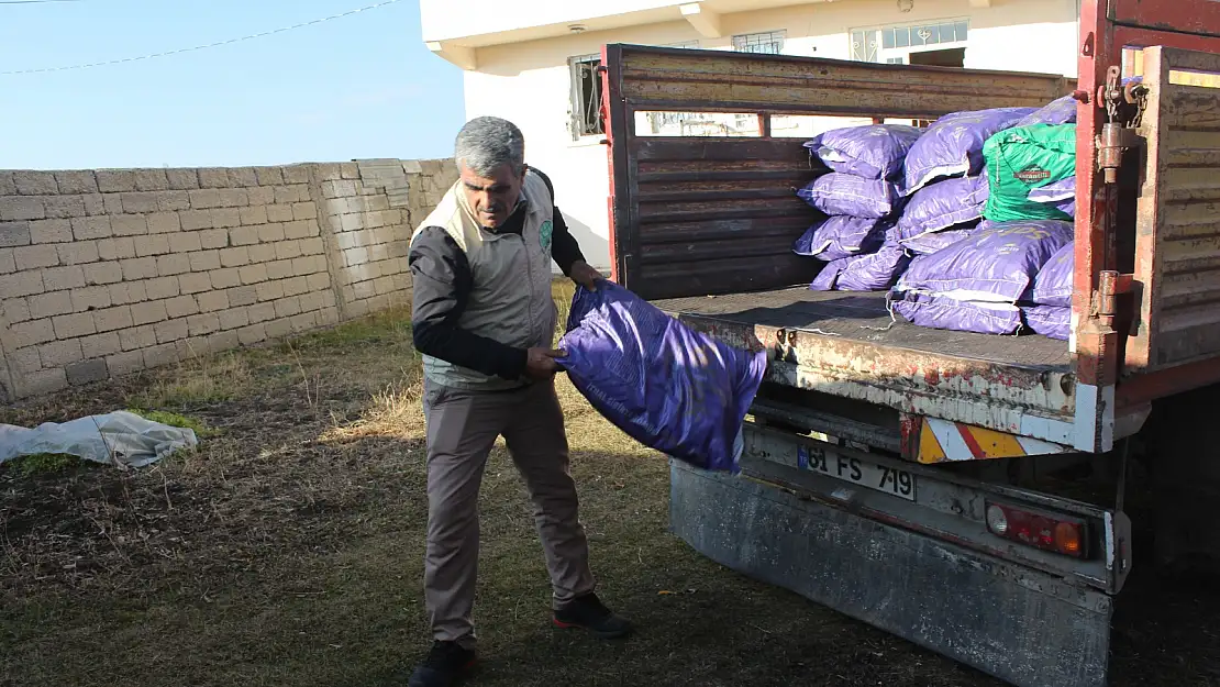 Ağrı'da ihtiyaç sahiplerine kışlık giysi ve yakacak yardımı yapıldı