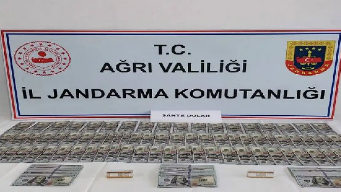 Ağrı'da Jandarmadan sahte dolar operasyonu