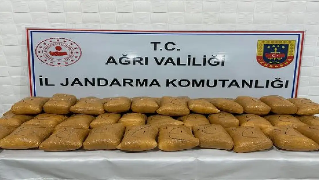 Kaçak göçmenler uyuşturucuyla yakalandı