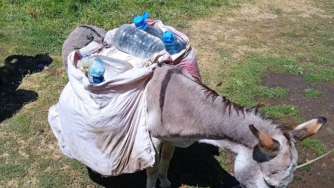 Ağrı'da köylerdeki su krizi büyüyor muhtarlar yetkililere seslendi