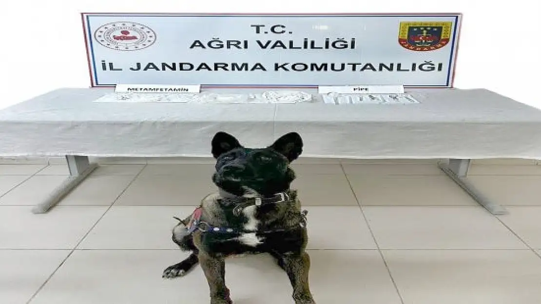 Ağrı'da evinde uyuşturucu bulunan şahıs yakalandı