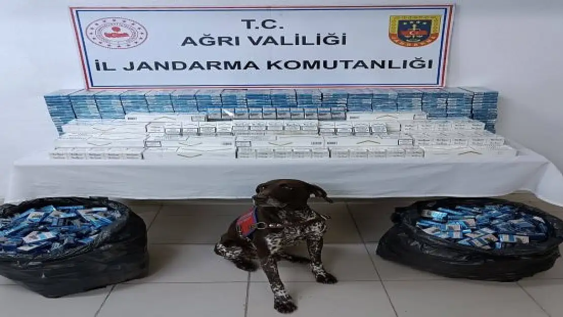 Ağrı'da 3 TIR'da kaçak akaryakıt ve sigara ele geçirildi