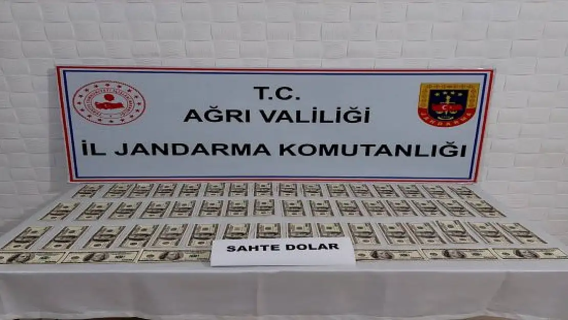 Ağrı'da sahte dolar operasyonu