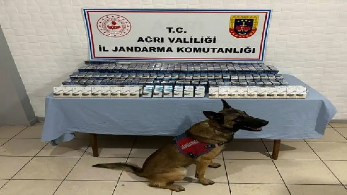 Ağrı'da 4 bin 185 paket kaçak sigara ve 50 elektronik sigara ele geçirildi