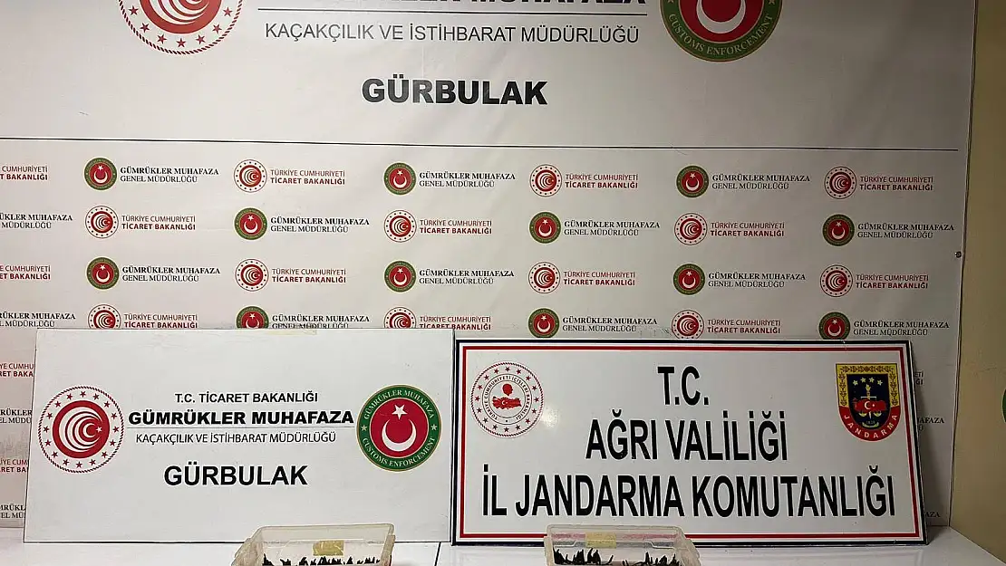 Sınırda 70 Bin Türk Lirası Değerinde Sülük İle Yakalandı