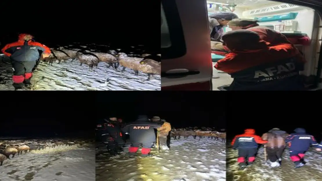 Ağrı'da mahsur kalan 3 çoban ve 3 bin koyun kurtarıldı