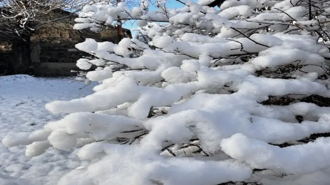 Ağrı'da 66 köy yolu kar nedeniyle ulaşıma kapandı