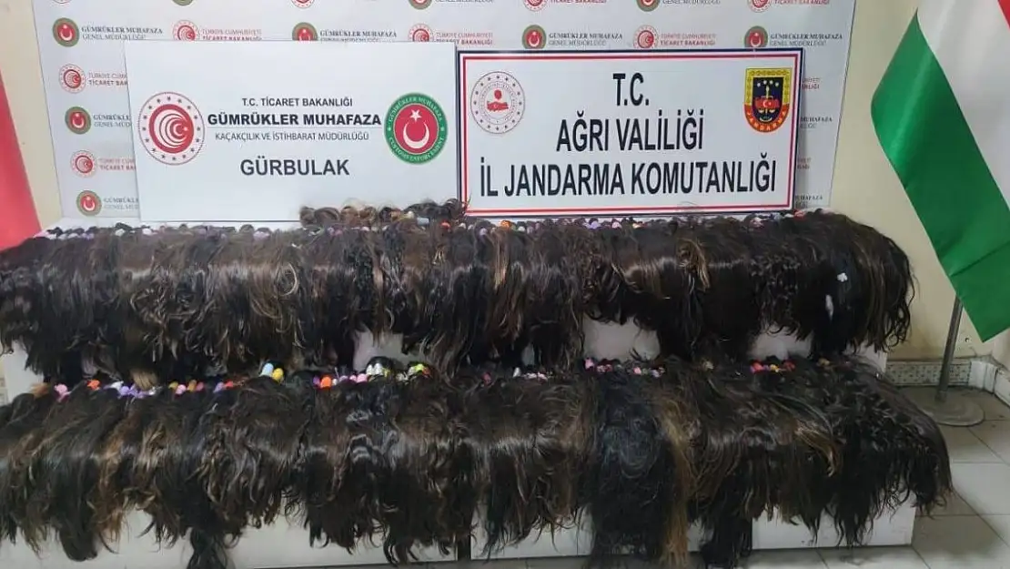 Ağrı'da 663 bin liralık insan saçı ele geçirildi