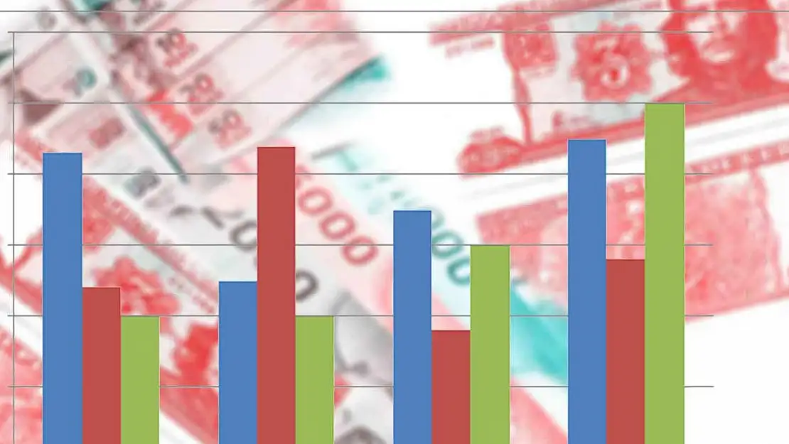 Milli Gelirde Ağrı son sırada