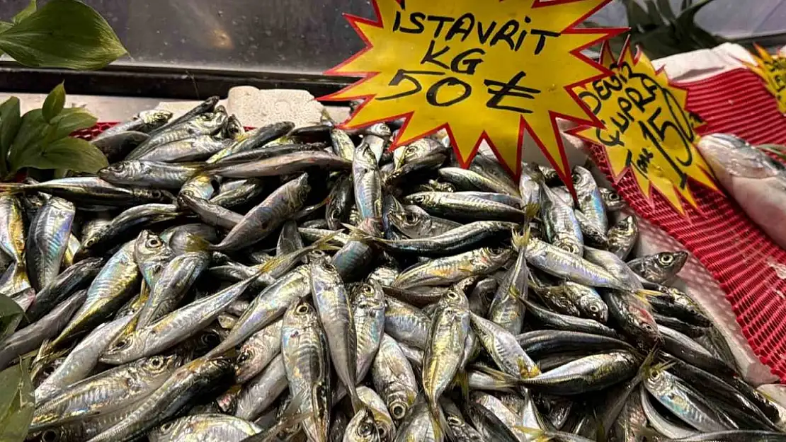 İstavrit 50 liradan tezgaha indi