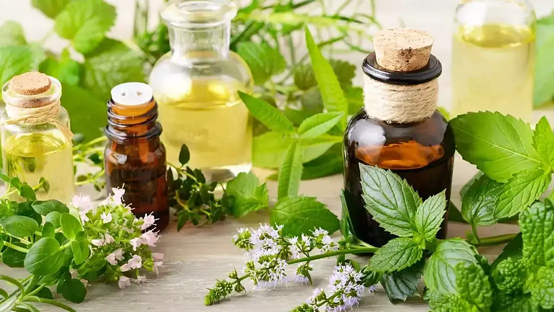 Nioli Yağı Nedir?
