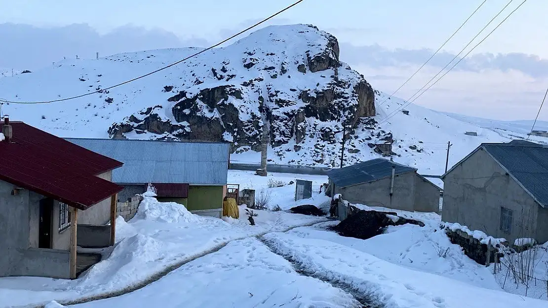 Ağrı'da kar yağışı köy yollarını kapattı